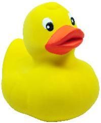 Duck Toy