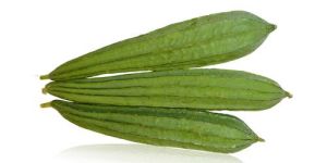 Fresh Ridged Gourd