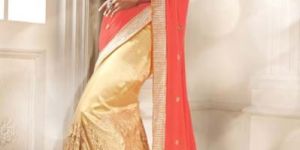 Trendy Net Designer Saree