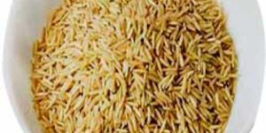 Organic Basmati Rice