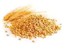Wheat Seeds
