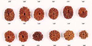 Rudraksha Beads