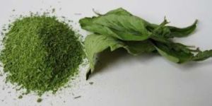 Stevia Powder