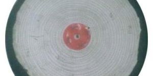 Lustre Polishing Buff