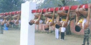 Defence Training Models