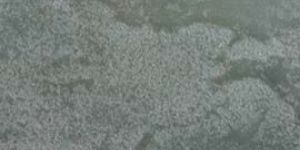 Silicone Finish Limestone Tiles