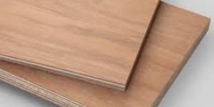 Hardwood Plywood