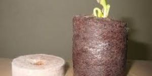 Coco Peat Pellets