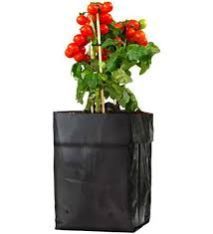 Plant Grow Bags