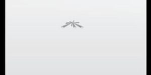 Ubiquiti Power Bridge M