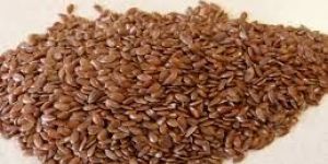 Flax Seeds