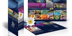 Brouchers Printing Services