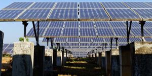 Solar Megawatt Power Plant