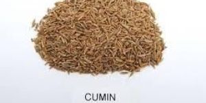Cumin
