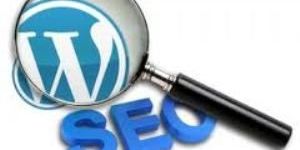 Seo Training Course