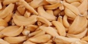 Dehydrated Minced Garlic