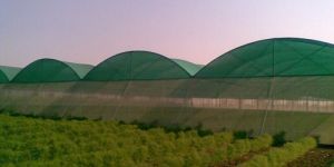 Greenhouse Services