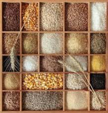 Food Grains