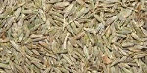 Cumin
