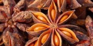 Star Anise 01