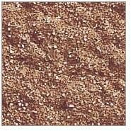 Non Pigmented Textured