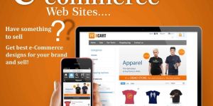 Ecommerce Website Development Services