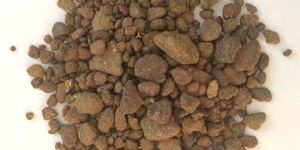 Indian Rape Seed Meal