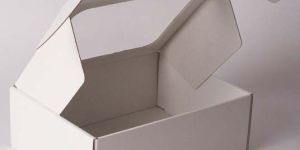 Plain Corrugated Paper Boxes