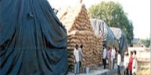 Multilayer Cross Laminated Film