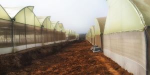 UV Stabilised Greenhouse Film