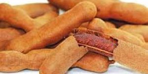 Tamarind Fruits