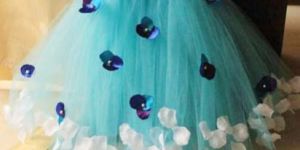 Tutu Dresses for Kids