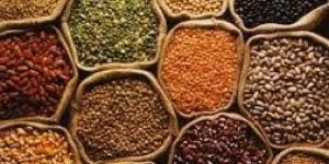 Indian Pulses