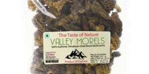 Dried Morel Mushroom