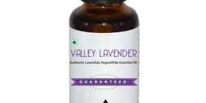 Lavender Oil