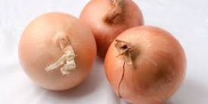 Nashik Gavran Onion Seeds