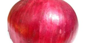 Nasik N-53 Red Onion Seeds