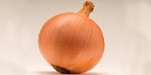 PUNERI GAVRAN Onion Seeds