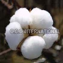Raw Cotton