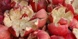 Dry Pomegranate Peel/ Rind