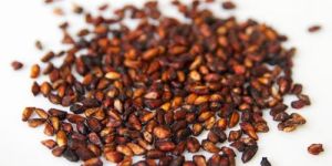 Dry Pomegranate Seeds