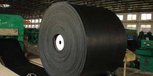 Special Purpose Conveyor Belt