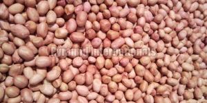 Groundnut Kernels