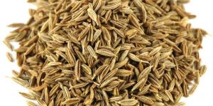 Cumin Seeds