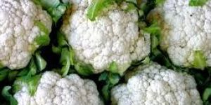 Fresh Cauliflower