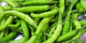 Fresh Green Chilli