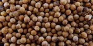 Coriander Seed Badami