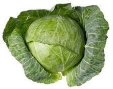 Fresh Cabbage