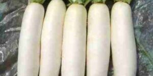 Fresh Radish