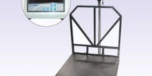 Platform Scales